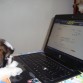 navegando ..
